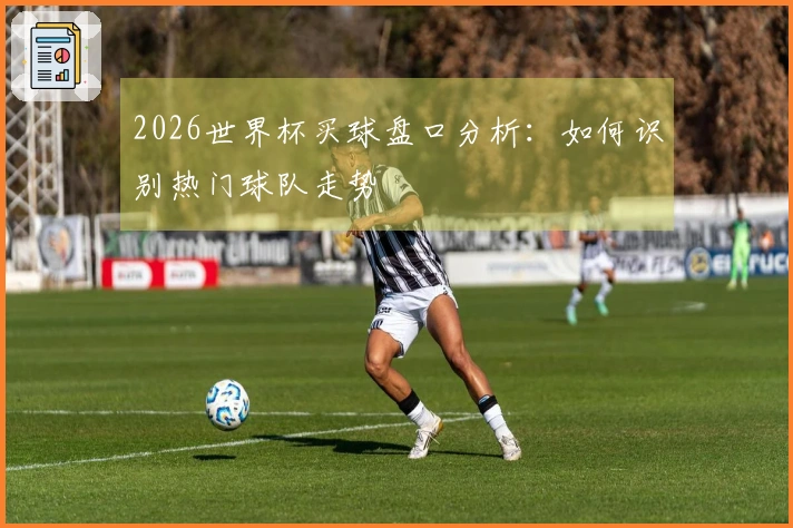 2026世界杯买球盘口分析：如何识别热门球队走势
