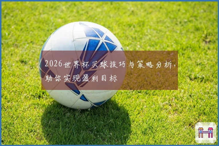 2026世界杯买球技巧与策略分析，助你实现盈利目标