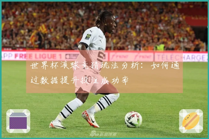 世界杯滚球竞猜玩法分析：如何通过数据提升投注成功率