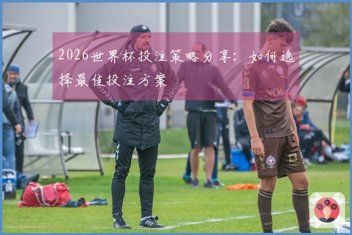 2026世界杯投注策略分享：如何选择最佳投注方案